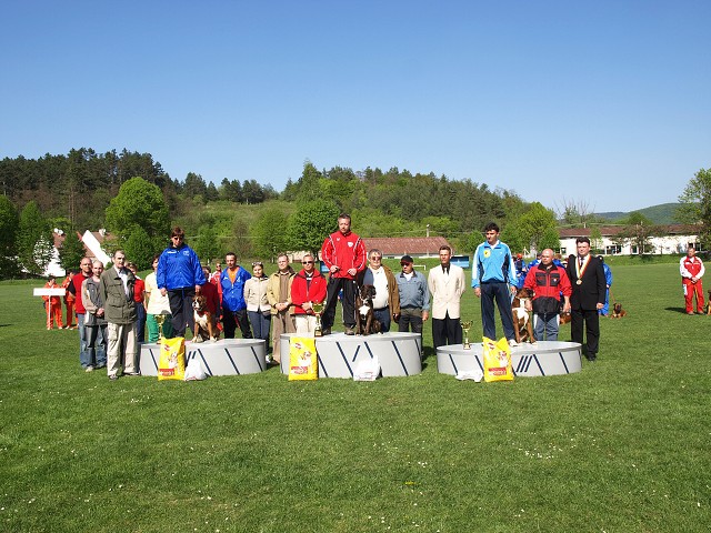 www.atibox.net * www.euroboxer.eu * www.boxergenealogia.eu